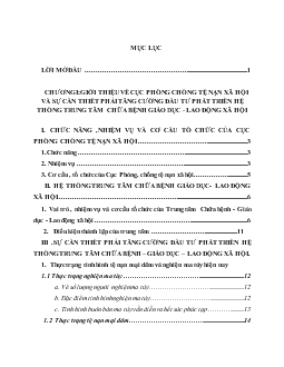 Chuyên đề Đầu tư phát triển hệ thống Trung tâm Chữa bệnh – Giáo dục – Lao động xã hội .Thực trạng và giải pháp