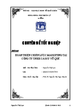 Chuyên đề Hoàn thiện chiến lược marketing tại công ty TNHH cao su Vũ Quế