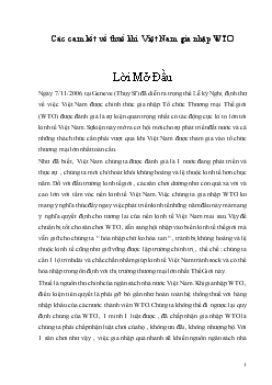 Đề tài Các cam kết về thuế khi Việt Nam gia nhập WTO