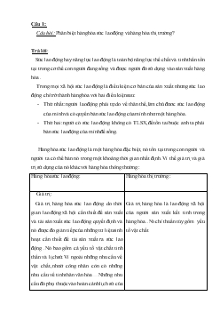 Tiểu luận Phân biệt hàng hóa sức lao động và hàng hóa thị trường