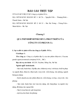 Báo cáo thực tập Công ty cổ phần PiCo