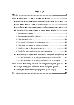 Báo cáo Thực tập tại công ty TNHH Bích Thủy