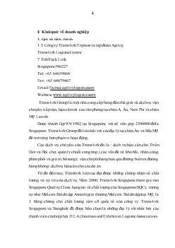 Báo cáo Môi trường vi mô Công ty Trans-link Express
