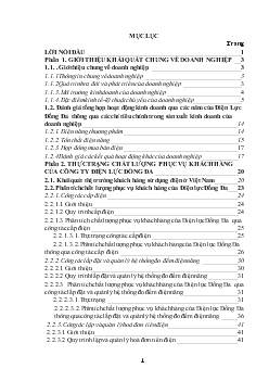 Chuyên đề Nâng cao chất lượng phục vụ khách hàng của Điện lực Đống Đa