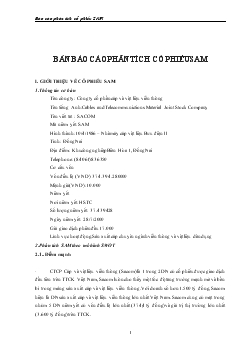 Báo cáo phân tích cổ phiếu SAM