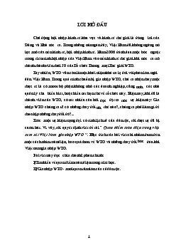 Đề tài Quan điểm toàn diện trong việc xem xét Việt Nam gia nhập WTO