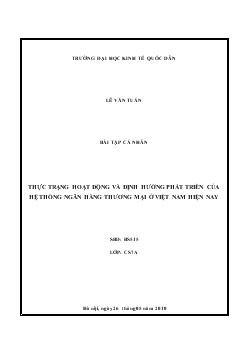 Tiểu luận Thực trạng hoạt động và định hướng phát triển của hệ thống ngân hàng thương mại ở việt nam hiện nay