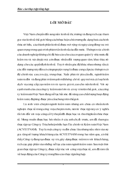 Báo cáo Thực tập tại Công ty Trách nhiệm hữu hạn Tài chính và Kiểm toán Việt Nam (ACVIETNAM)