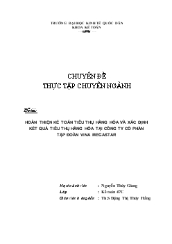 Chuyên đề Hoàn thiện kế toán tiêu thụ hàng hóa và xác định kết quả tiêu thụ hàng hóa tại Công ty cổ phần tập đoàn Vina Megastar