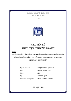 Chuyên đề Hoàn thiện lập kế hoạch kiểm toán trong kiểm toán báo cáo tài chính do công ty TNHH Ernst & Young Việt Nam thực hiện