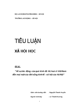 Tiểu luận Về sự tác động của quá trình đô thị hoá ở Việt Nam đến mọi mặt của đời sống kinh tế - xã hội của Hà Nội