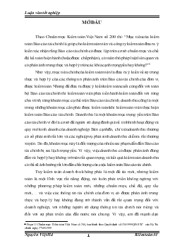 Chuyên đề Hoàn thiện kiểm toán khoản mục doanh thu trong kiểm toán Báo cáo tài chính do Công ty Hợp danh Kiểm toán Việt Nam thực hiện