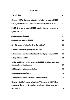 Đề tài Chế định về quyền sở hữu trí tuệ liên quan đến thương mại của WTO và việc hoàn thiện các quy định tương ứng của Việt Nam