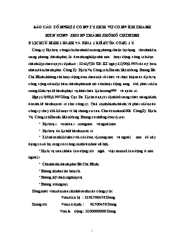 Báo cáo tổng hợp công ty dịch vụ công ích thanh niên xung phong thành phố Hồ Chí Minh