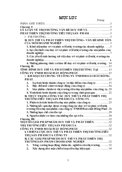 Đề tài Thực trạng tình hình duy trì và phát triển thị trường tại công ty TNHH Hoá chất Hồng Phát