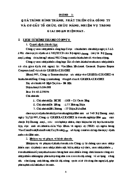 Quá trình hình thành, phát triển của công ty và cơ cấu tổ chức, chức năng, nhiệm vụ trong giai đoạn hiện nay