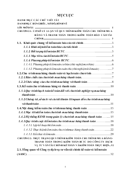 Đề tài Kiểm toán chu trình mua hàng và thanh toán trong quy trình kiểm toán Báo cáo tài chính do công ty dịch vụ tư vấn tài chính kế toán và kiểm toán thực hiện
