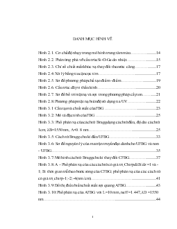 Đề tài Cách tử Bragg sợi