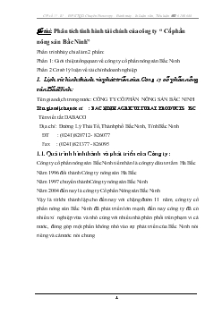 Đề tài Phân tích tình hình tài chính của công ty Cổ phần nông sản Bắc Ninh