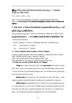 Phân tích tình hình tài chính của công ty Cổ phần nông sản Bắc Ninh