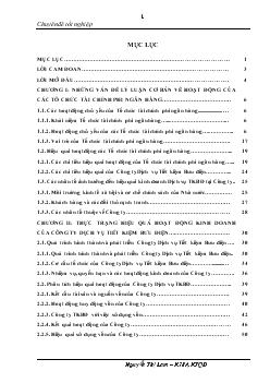 Chuyên đề Giải pháp nâng cao hiệu quả hoạt động kinh doanh của công ty dịch vụ tiết kiệm bưu điện