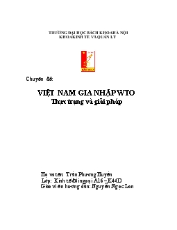 Chuyên đề Việt Nam gia nhập WTO thực trạng và giải pháp