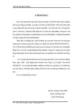 Đánh giá hoạt động kinh doanh Công ty Tài chính cổ phần Handico