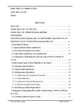 Đề tài Đánh giá thực trạng đầu tư phát triển tại công ty Cổ phần sản xuất và Thương mại bao bì C.N.D