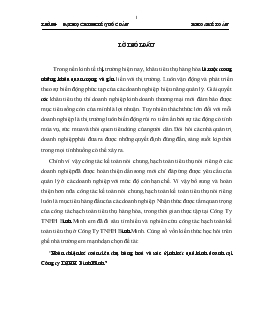 Đề tài Hoàn thiện kế toán tiêu thụ hàng hoá và xác định kết quả kinh doanh tại Công ty TNHH Bình Minh