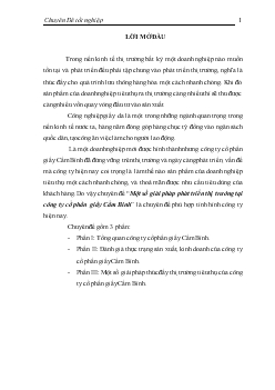 Đề tài Một số giải pháp phát triển thị trường tại công ty cổ phần giầy Cẩm Bình
