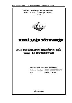 Khóa luận Một số biện pháp thúc đẩy phát triển thương mại điện tử ở Việt Nam