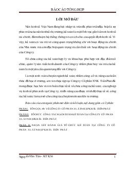Tổ chức công tác hạch toán kế toán tại công ty cổ phần xuất nhập khẩu tiến phát