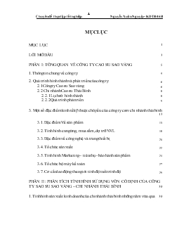 Chuyên đề Giải pháp nâng cao hiệu quả sử dụng vốn cố định của CTCP Cao su Sao Vàng – Chi nhánh tại Thái Bình