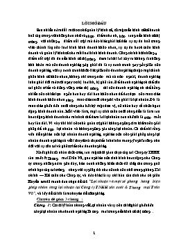 Đề tài Lợi nhuận và một số phương hướng biện pháp nhằm tăng lợi nhuận ở Công ty TNHH sản xuất & Thương mại Trần Vũ