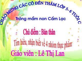 Giáo án mầm non lớp mầm - Chủ điểm: Bản thân - Tìm hiểu, nhận biết về 4 nhóm thực phẩm