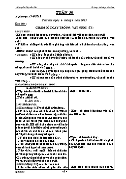 Giáo án các môn học lớp 3 - Trường Tiểu học La Sơn - Tuần 30
