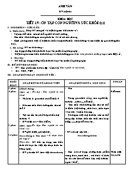 Giáo án lớp 4 tuần 10 môn Khoa học - Tiết 19: Ôn tập con người và sức khỏe (tiếp)