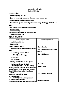 Giáo án môn Tự nhiên xã hội lớp 1 - Bài: Con gà