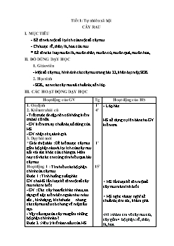 Giáo án môn Tự nhiên xã hội lớp 1 - Cây rau