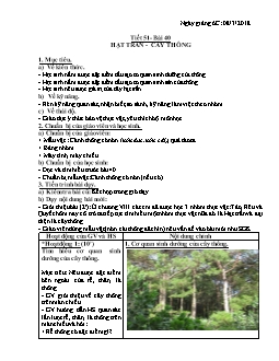 Giáo án Sinh học 6 Tiết 51- Bài 40: Hạt trần - cây thông