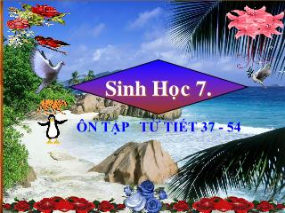 Bài giảng Sinh học lớp 7: Ôn tập từ tiết 37 - 54