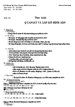 Giáo án môn Sinh học lớp 9 - Thực hành: Quan sát và lắp mô hình ADN