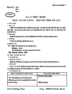 Giáo án Sinh học 7 Bài 42: Thực hành: quan sát bộ xương, mẫu mổ chim bồ câu