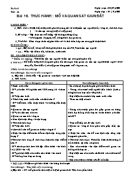 Giáo án Sinh học lớp 7 tiết 16: Thực hành: mổ và quan sát giun đất