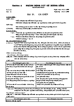 Giáo án Sinh học lớp 7 tiết 31: Cá chép