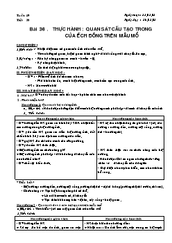 Giáo án Sinh học lớp 7 tiết 38: Thực hành: quan sát cấu tạo trong của ếch đồng trên mẫu mổ