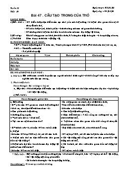 Giáo án Sinh học lớp 7 tiết 49: Cấu tạo trong của thỏ