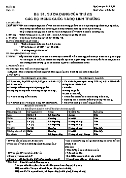 Giáo án Sinh học lớp 7 tiết 53: Sự đa dạng của thu (tt) các bộ móng guốc và bộ linh trưởng