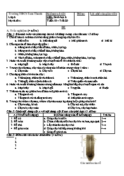 Kiểm tra 1 tiết Môn: Sinh học 6 Tuần 10 – Tiết 20