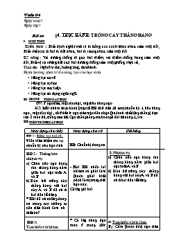 Giáo án Hình học 6 - Tiết 4: Thực hành: Trồng cây thẳng hàng